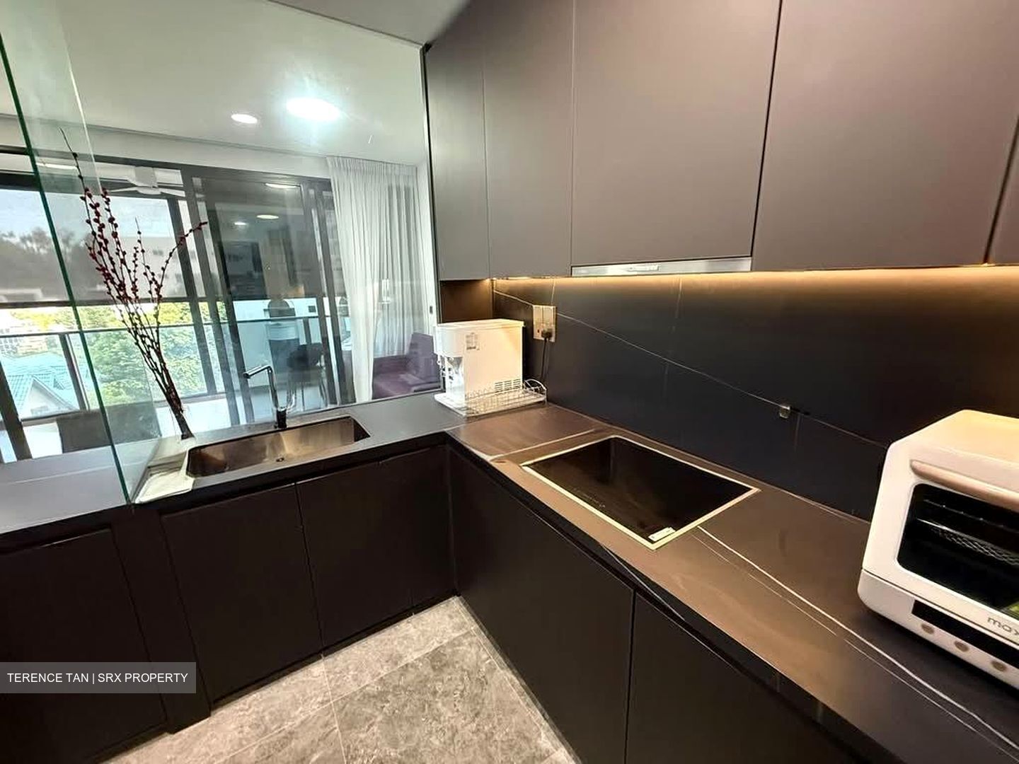Hyll On Holland (D10), Condominium #535593551